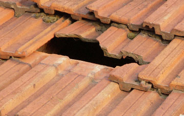 roof repair Haws Bank, Cumbria
