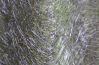 Haws Bank fibreglass roof work